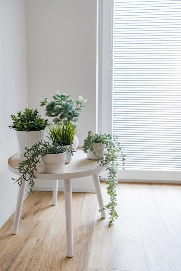 אולומוץ Wolkerovka Apartment 2 מראה חיצוני תמונה